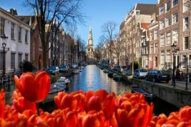 Amsterdam incentive ideas